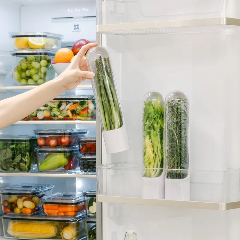 FreshVault™ Herb Keeper